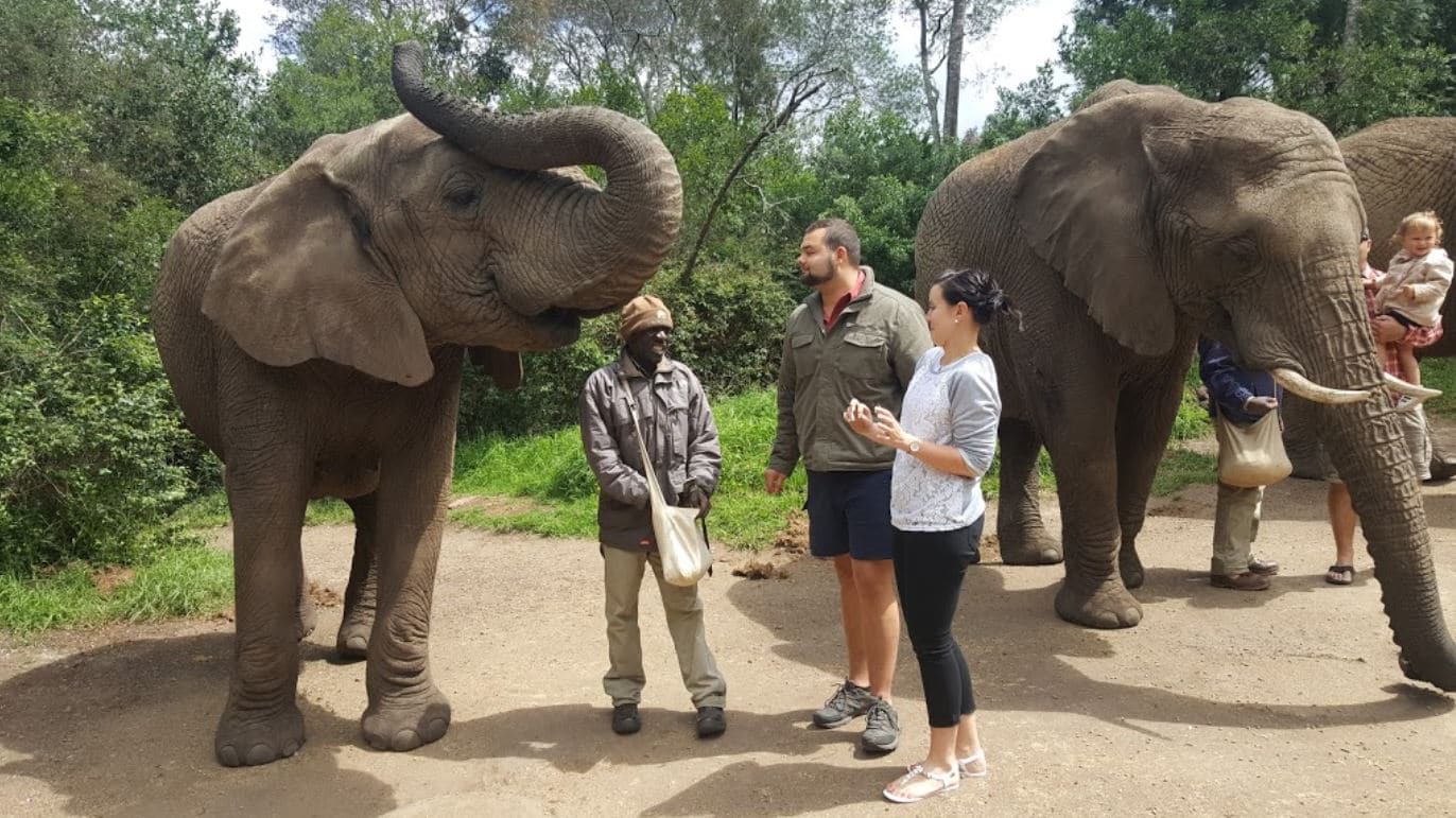 The_Elephant_Sanctuary.jpg