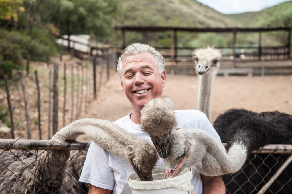 Cango Ostrich Farm Tour