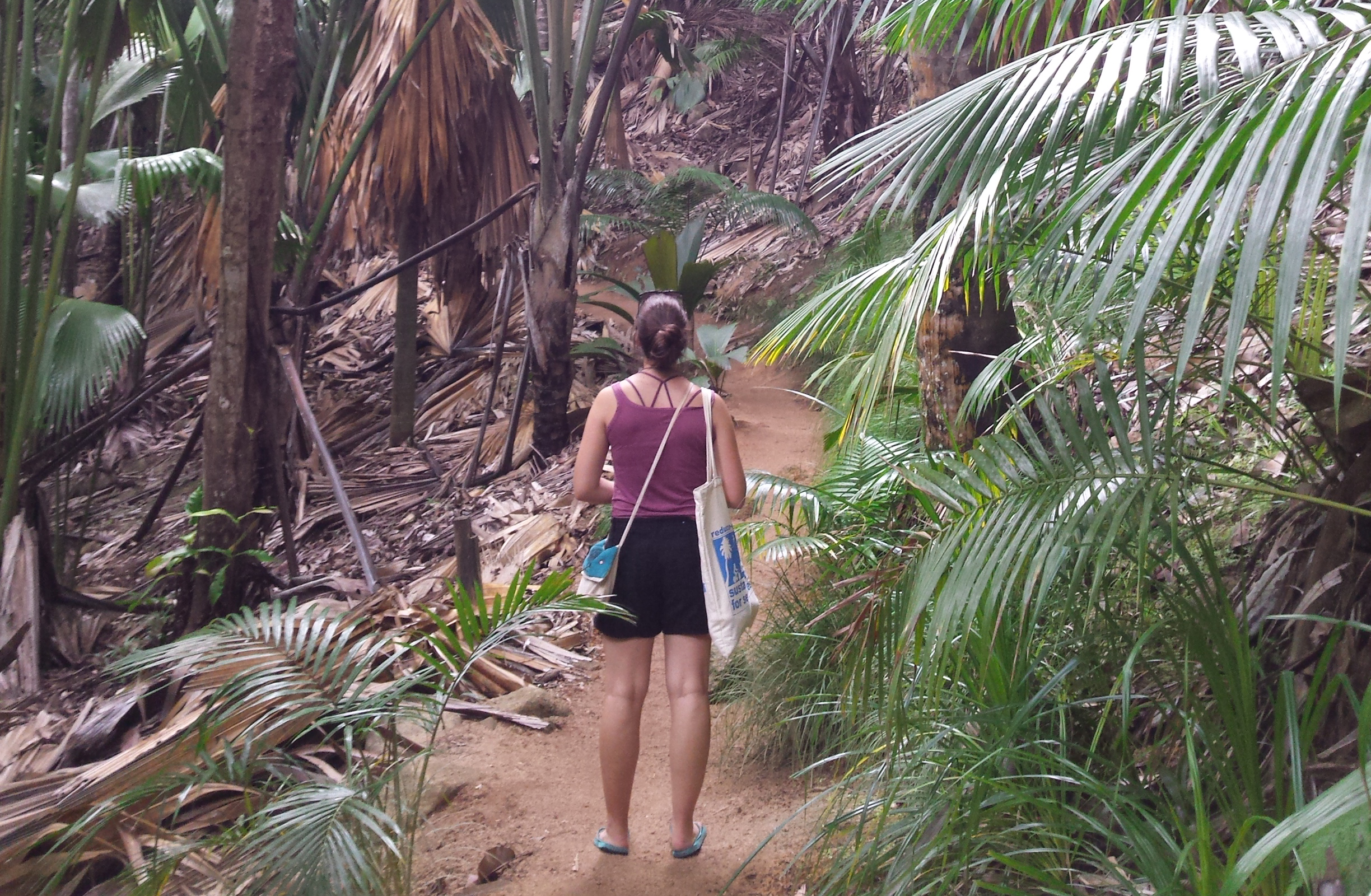 vallée de mai tour - Seychelles booking 