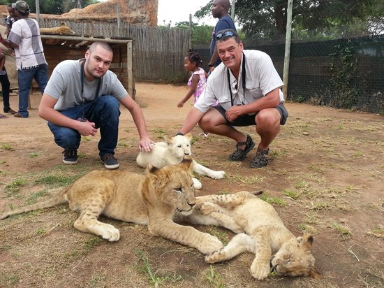 Cub Interaction-Lion and Safari Park