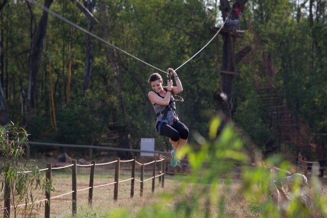 Acrobranch Adventure Park
