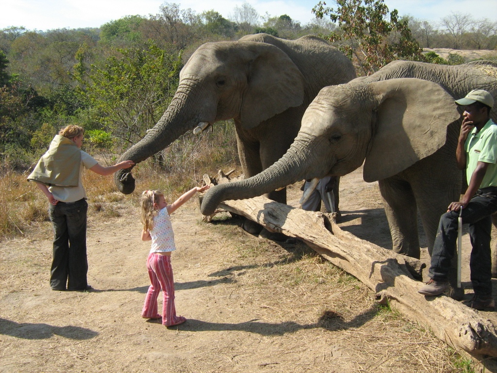 Elephant Interaction-Elephant whispers